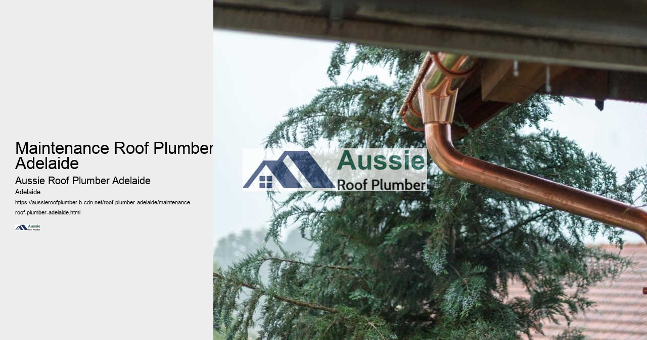 Maintenance Roof Plumber Adelaide