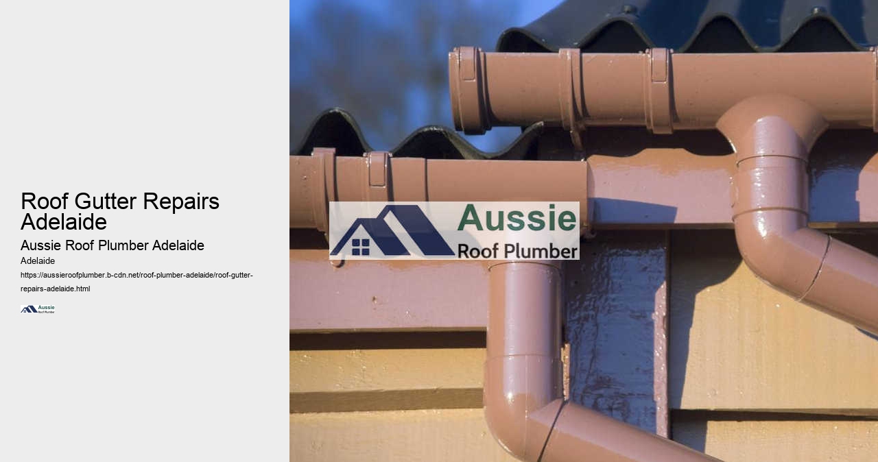 Roof Gutter Repairs Adelaide