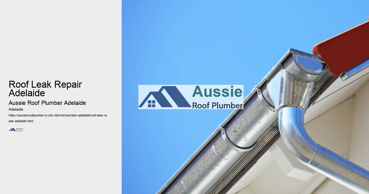Roof Leak Repair Adelaide